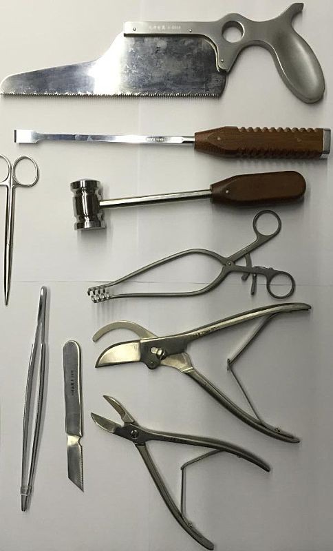 General veterinary tools — amputation saw, osteotome, mallet, bone cutters and forceps