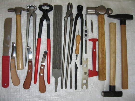 Farriery and large animal tool set — hoof knives, nippers, rasps and hammers